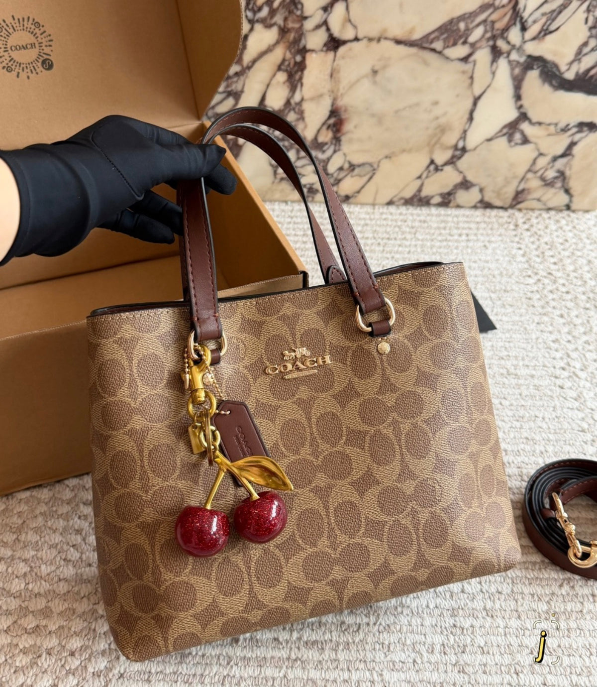 coach-purse