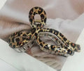 jumbo-leopard-print-bow-claw-clips