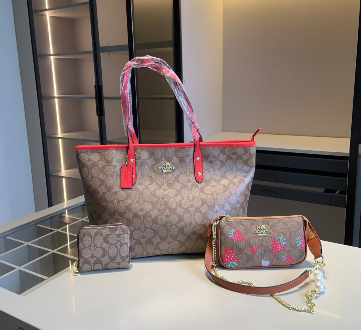Coach Purse Set